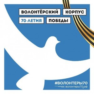 Волонтеры Тольятти помогают ветеранам ВОВ