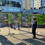 Третьеклассница из Тольятти стала победительницей областного фотоконкурса "МОЯ СЕМЬЯ"