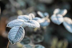 В Самарской области температура воздуха опуститься ниже -20ºC